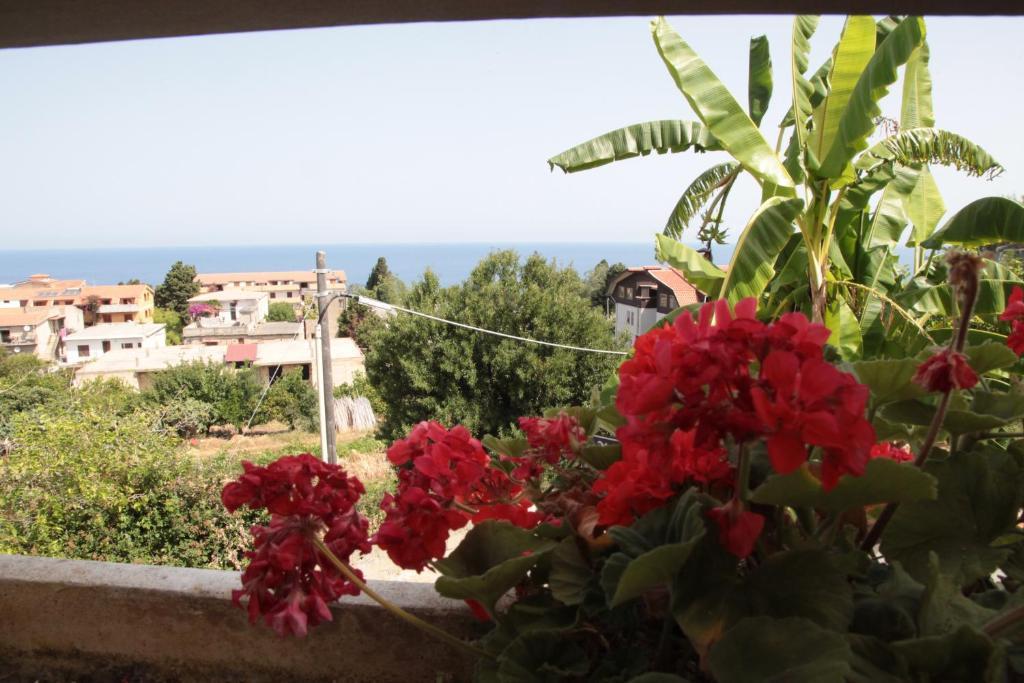 Bed And Breakfast Casagalez Santa Domenica  Room photo